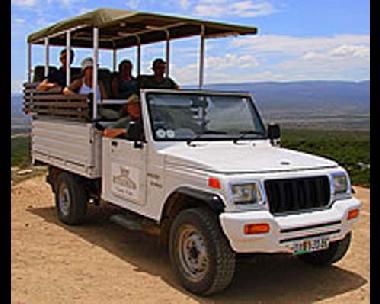 Pension in Addo (Eastern Cape) oder Ferienwohnung oder Ferienhaus