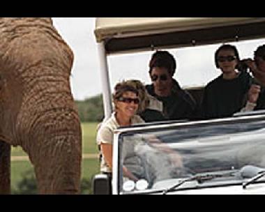 Pension in Addo (Eastern Cape) oder Ferienwohnung oder Ferienhaus