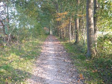 Die alten Kirchwege
