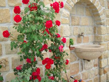 Ferienwohnung in Capo D