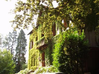 Pension in Saint Amans Soult (Tarn) oder Ferienwohnung oder Ferienhaus