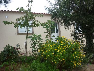 Ferienhaus in cernache do bonjardim (Pinhal Interior Sul) oder Ferienwohnung oder Ferienhaus