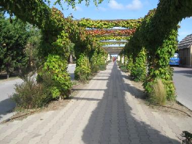 Ferienwohnung in ST TROPEZ (Var) oder Ferienwohnung oder Ferienhaus