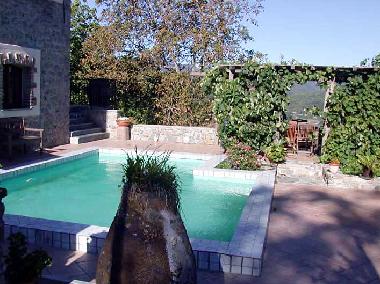 pool am Morgen