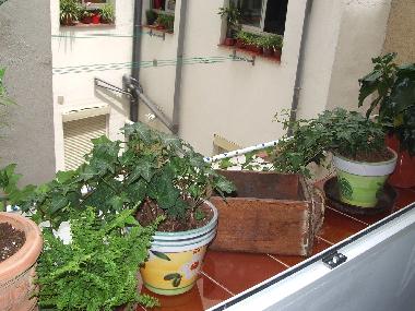 Ferienwohnung in Madrid (Madrid) oder Ferienwohnung oder Ferienhaus