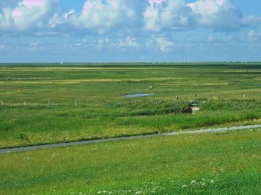 weites Land