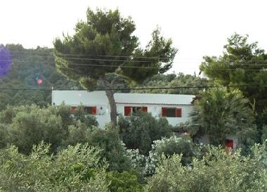 Ferienhaus in Skiathos (Magnisia) oder Ferienwohnung oder Ferienhaus
