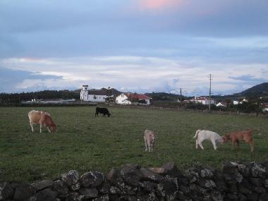 Umgebung n�rdlich von der Pension Francisca
