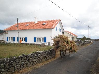 Umgebung Richtung S�den zum Strand Praia Formosa