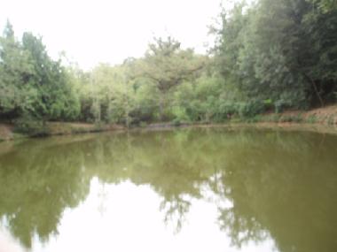 Ferienhaus in St Priest la March (Centre) oder Ferienwohnung oder Ferienhaus