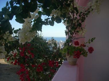 Ferienwohnung in HAMMAMET (Nabul) oder Ferienwohnung oder Ferienhaus