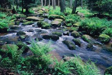 Bilder aus der Umgebung (Lerautal)