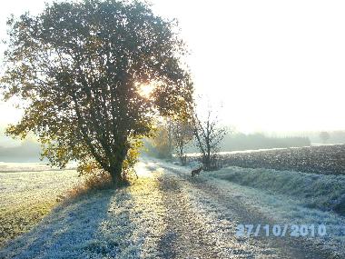 Bilder aus der Umgebung (Fuchssteinach)