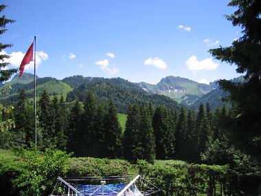 Chalet in Les Paccots (Montreux-Vevey) oder Ferienwohnung oder Ferienhaus