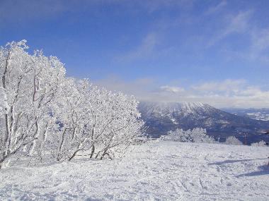 Chalet in Hirafu (Hokkaido) oder Ferienwohnung oder Ferienhaus