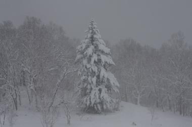 Chalet in Hirafu (Hokkaido) oder Ferienwohnung oder Ferienhaus