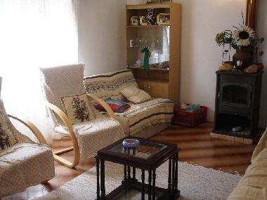 Wohnzimmer mit Holzofen