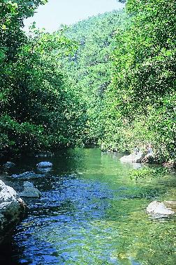 Ferienhaus in Assos-Tahtakuslar (Canakkale) oder Ferienwohnung oder Ferienhaus