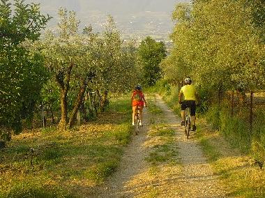 Ferienwohnung in cannara (Perugia) oder Ferienwohnung oder Ferienhaus