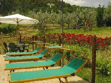 Ferienwohnung in cannara (Perugia) oder Ferienwohnung oder Ferienhaus