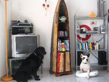 Ferienhaus in St.Pierre la mer (Aude) oder Ferienwohnung oder Ferienhaus