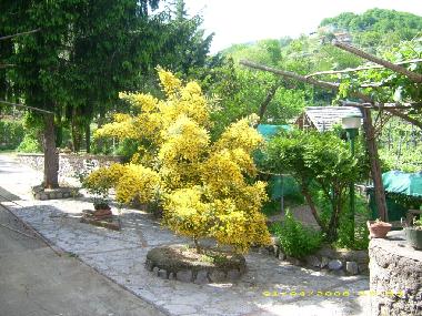 Ferienwohnung in Tramonti - Costiera Amalfitana - (Salerno) oder Ferienwohnung oder Ferienhaus