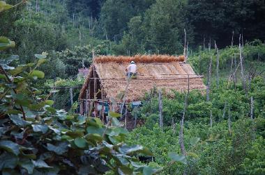 Ferienwohnung in Tramonti - Costiera Amalfitana - (Salerno) oder Ferienwohnung oder Ferienhaus