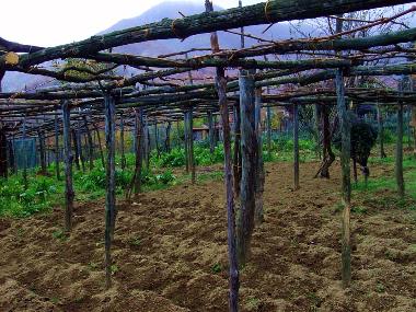 Ferienwohnung in Tramonti - Costiera Amalfitana - (Salerno) oder Ferienwohnung oder Ferienhaus