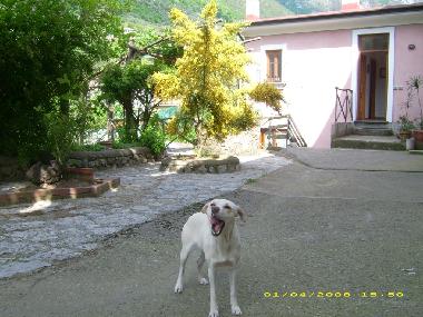 Ferienwohnung in Tramonti - Costiera Amalfitana - (Salerno) oder Ferienwohnung oder Ferienhaus