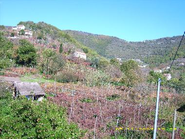 Ferienwohnung in Tramonti - Costiera Amalfitana - (Salerno) oder Ferienwohnung oder Ferienhaus