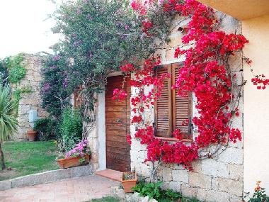 Hauseingang umgeben von Bougainvillee