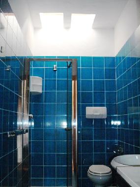 Dachfenster des Bades