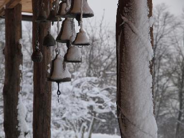 Ferienhaus in Vytachiv  (Kyyivs