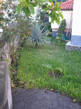 Ferienhaus in Ponta Delgada (Madeira) oder Ferienwohnung oder Ferienhaus