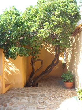 Ferienhaus in Baja Sardinia (Olbia-Tempio) oder Ferienwohnung oder Ferienhaus