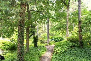 Ferienhaus in Stockholm Liding� (Stockholm) oder Ferienwohnung oder Ferienhaus