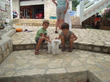 Ferienwohnung in Novalja (Primorsko-Goranska) oder Ferienwohnung oder Ferienhaus