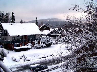 Ferienwohnung in Braunlage (Harz) oder Ferienwohnung oder Ferienhaus