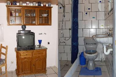 Fernsehplatz und Badeinsicht mit gr. Dusche