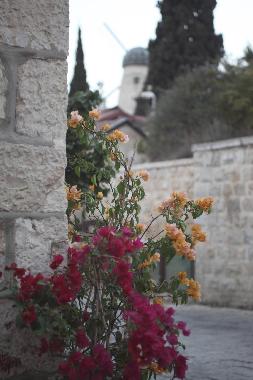 Ferienwohnung in Jerusalem (Yerushalayim (Jerusalem)) oder Ferienwohnung oder Ferienhaus
