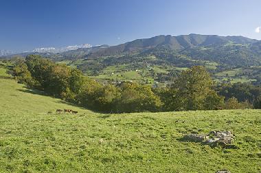 Ferienwohnung in Sevares (Asturias) oder Ferienwohnung oder Ferienhaus