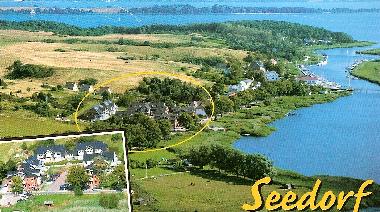 Ferienwohnung in Ostseebad Sellin (Ostsee-Inseln) oder Ferienwohnung oder Ferienhaus