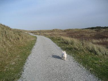 Die D�nenlandschaft vor der Haust�r