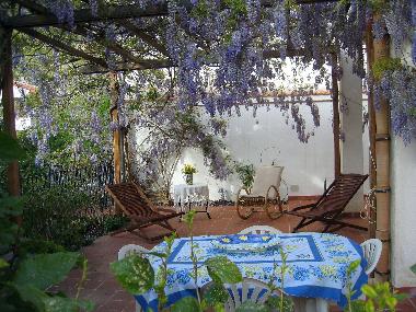 DIE TERRASSE MIT GARTEN