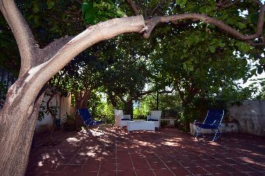 DIE TERRASSE MIT GARTEN