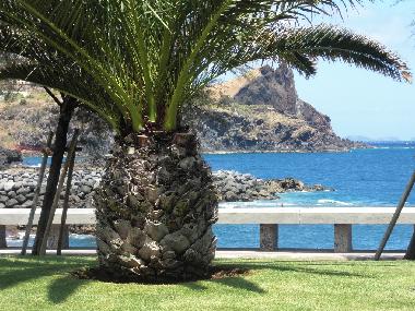 laden zum Schwimmen und Relaxen ein