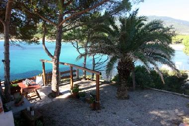 Ferienhaus in Island of Elba (Livorno) oder Ferienwohnung oder Ferienhaus