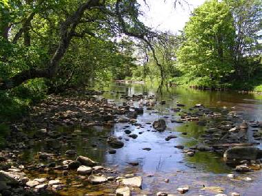 Ferienhaus in Stanhope (Tees Valley and Durham) oder Ferienwohnung oder Ferienhaus