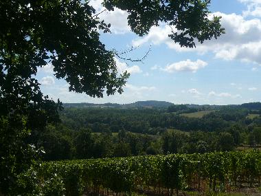 Ferienhaus in Pomport (Dordogne) oder Ferienwohnung oder Ferienhaus