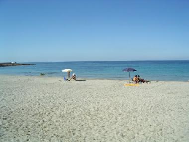 Ferienhaus in Petrosino (Trapani) oder Ferienwohnung oder Ferienhaus